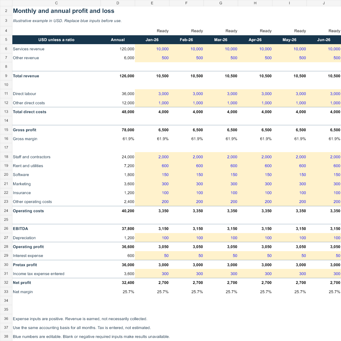 Profit and Loss Template worksheet preview with invented example values
